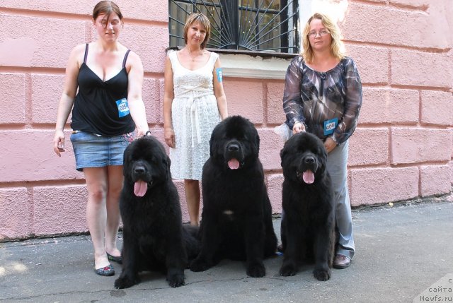 Фотография № 51353