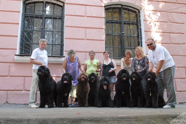 Фотография № 51355