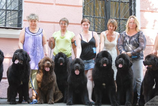 Фотография № 51356