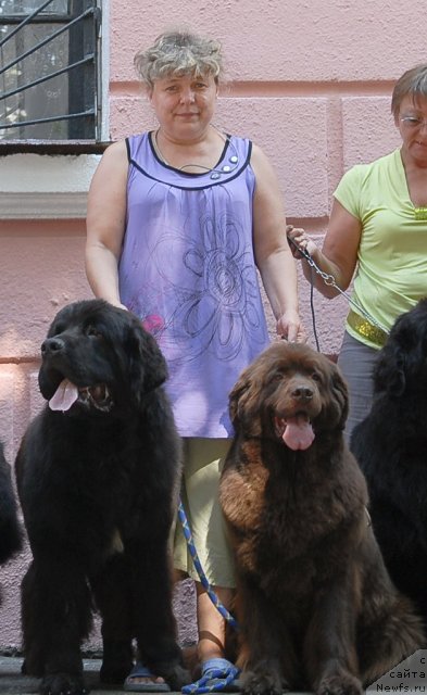 Фото: ньюфаундленд Parker s Berega Dona (Паркер с Берега Дона), ньюфаундленд Joka Ona s Berega Dona (Ёка Она с Берега Дона)