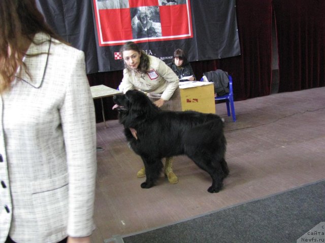 Фотография № 51394