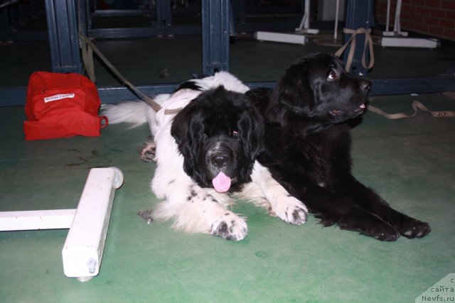 Фотография № 51405