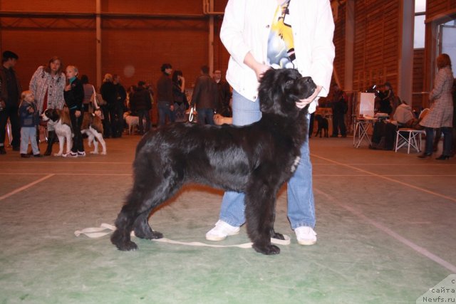 Фотография № 51408