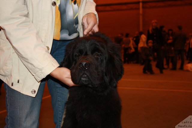 Фотография № 51410