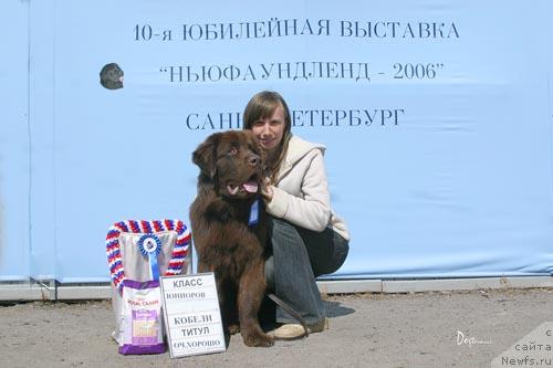 Фото: ньюфаундленд Meridian Schast'ya (Меридиан Счастья)