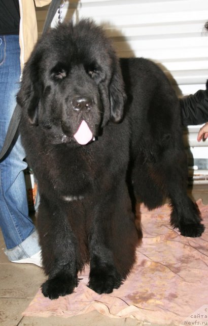 Фотография № 51494