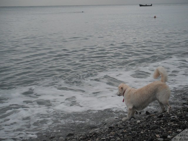 Фотография № 51506