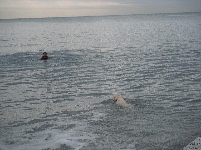 Фотография № 51507