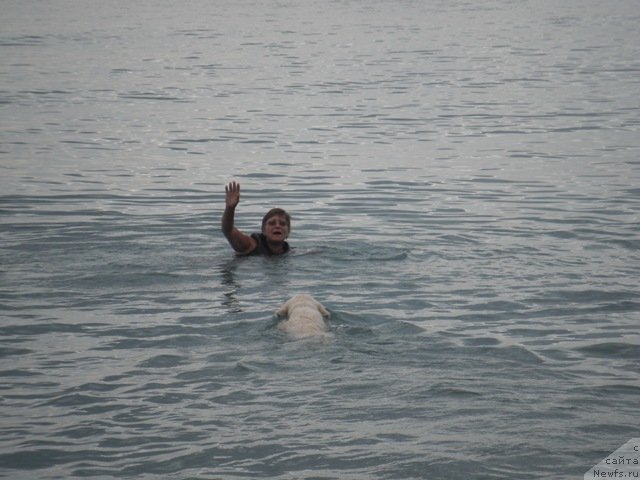 Фотография № 51508