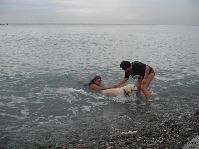 Фотография № 51511