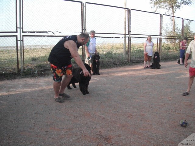 Фотография № 51518