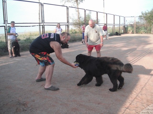 Фотография № 51519