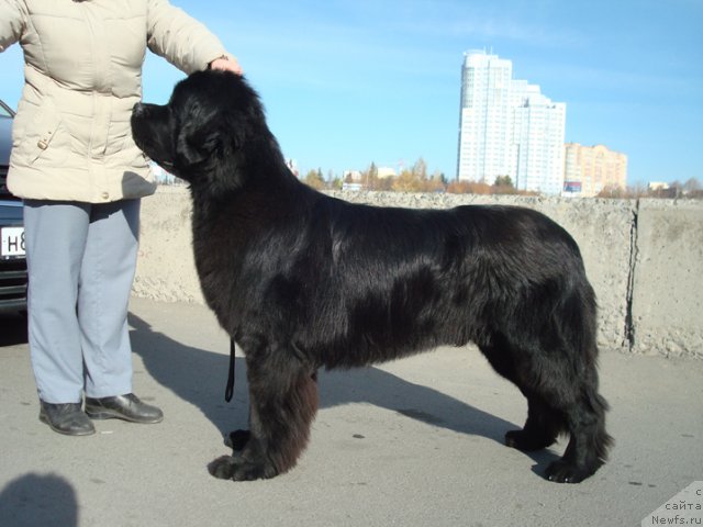 Фотография № 51524