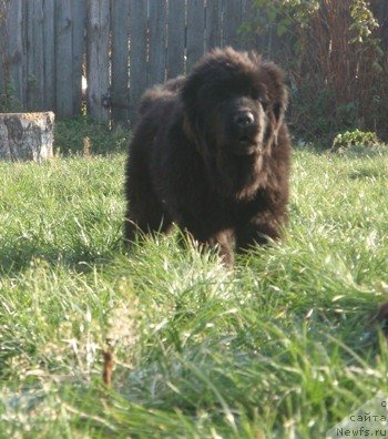 Фотография № 51541