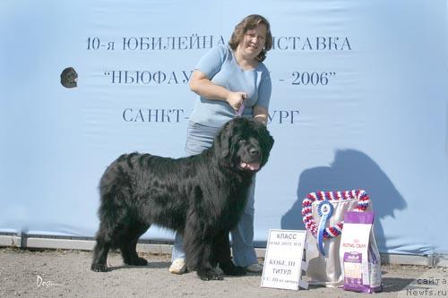 Фотография № 5157