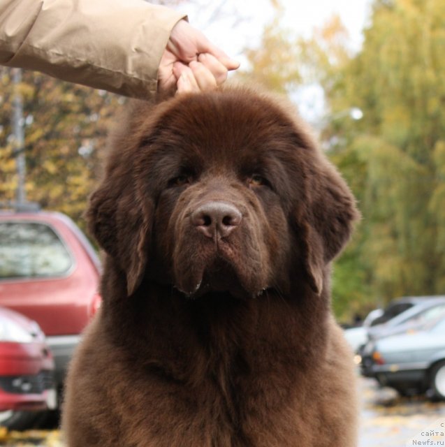 Фотография № 51575