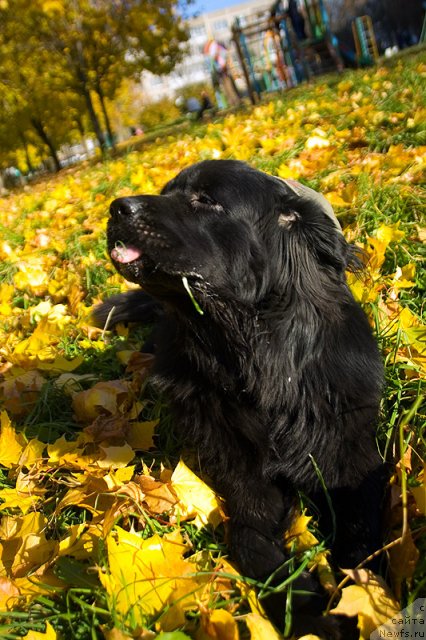 Фотография № 51606