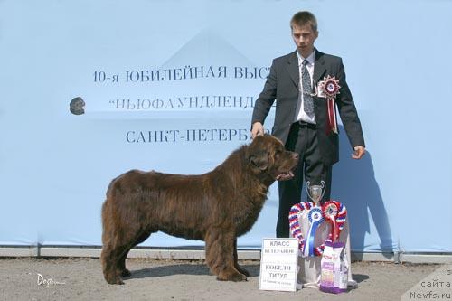 Фото: ньюфаундленд Smigar Arbat (Смигар Арбат)