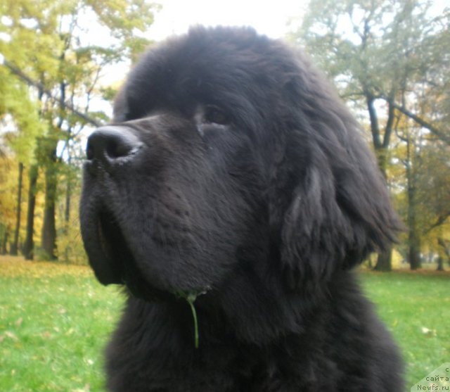 Фотография № 51630