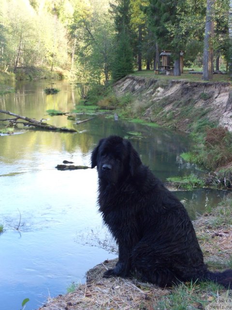 Фотография № 51676