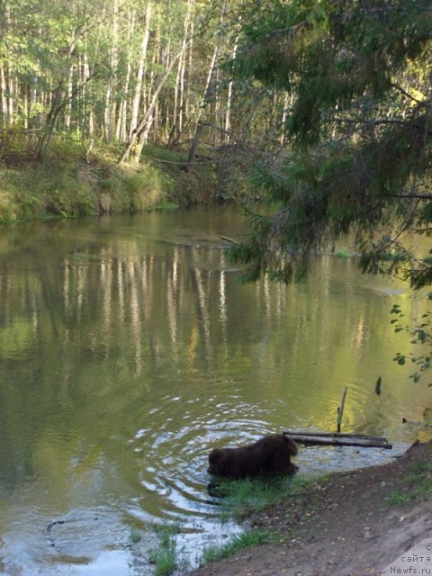 Фотография № 51679