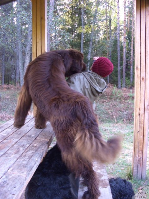 Фотография № 51682