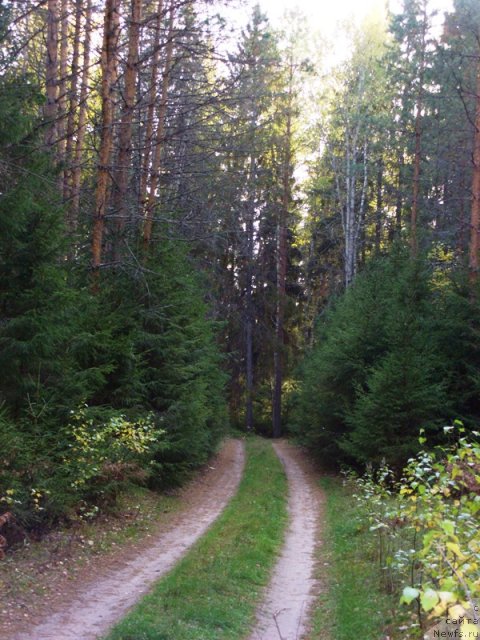 Фотография № 51683