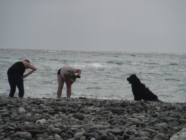 Фотография № 51724