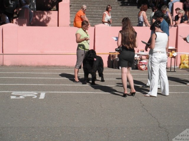 Фотография № 51727