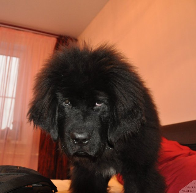 Фото: Elena Dresvyanskaya (Елена Дресвянская)