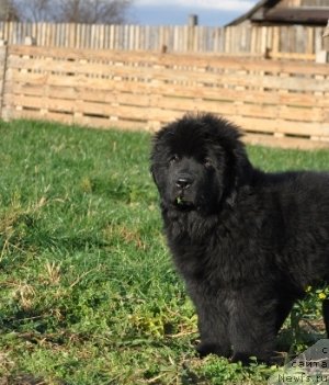 Фотография № 51757