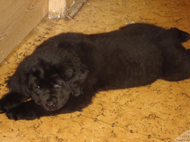 Фото: Mariya Jirnova (Мария Жирнова)