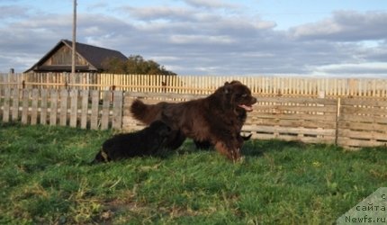 Фотография № 51764