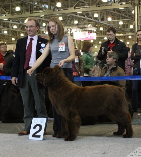 Фотография № 51768