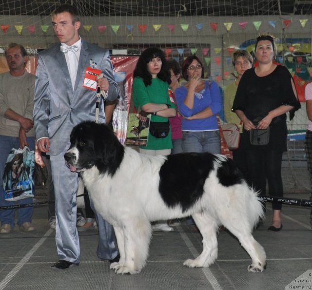 Фотография № 51778