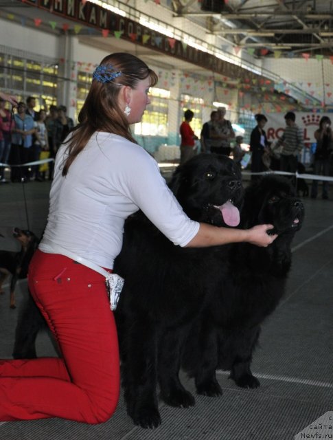 Фотография № 51781