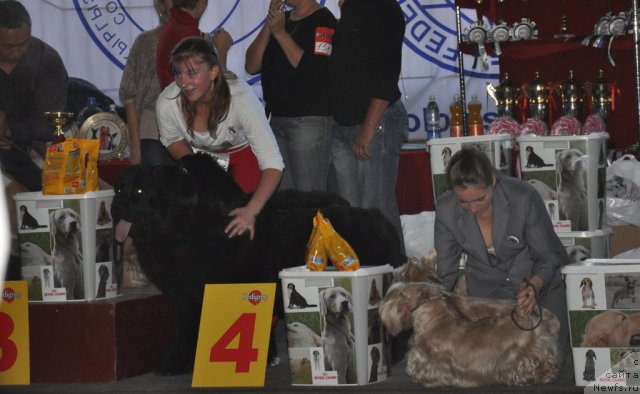 Фотография № 51782