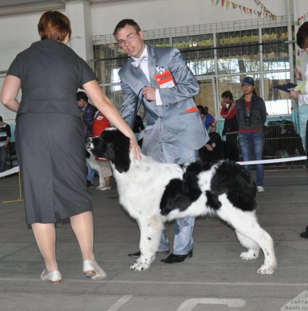 Фотография № 51784