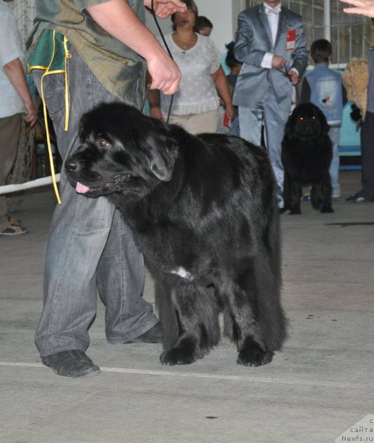 Фотография № 51799