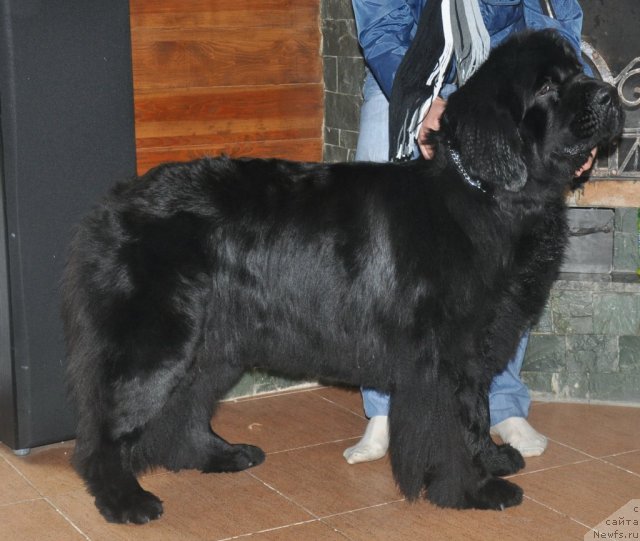 Фотография № 51802