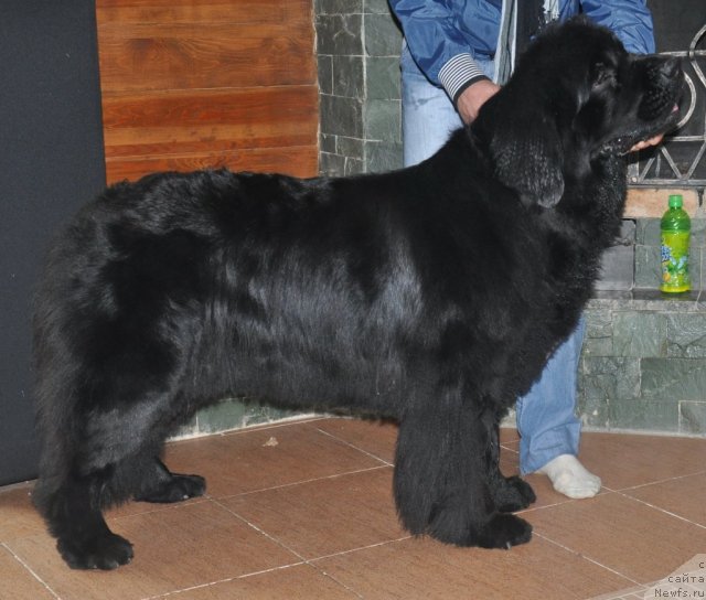 Фотография № 51803