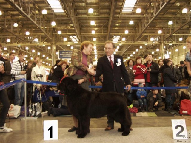 Фотография № 51806