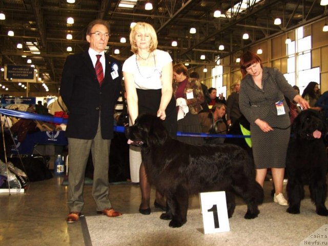 Фотография № 51808