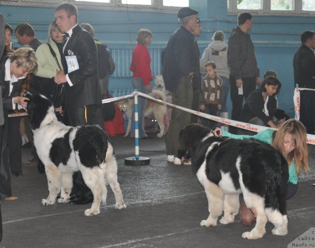 Фотография № 51819