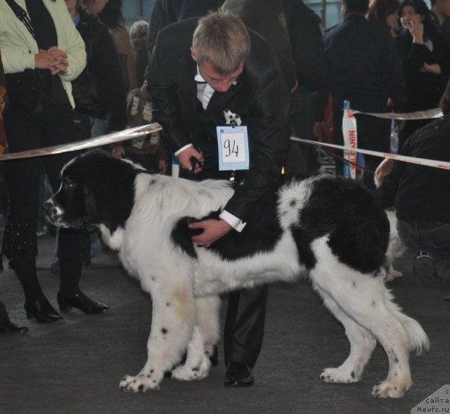 Фотография № 51821