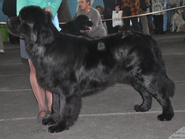 Фотография № 51828