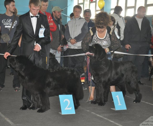 Фотография № 51833