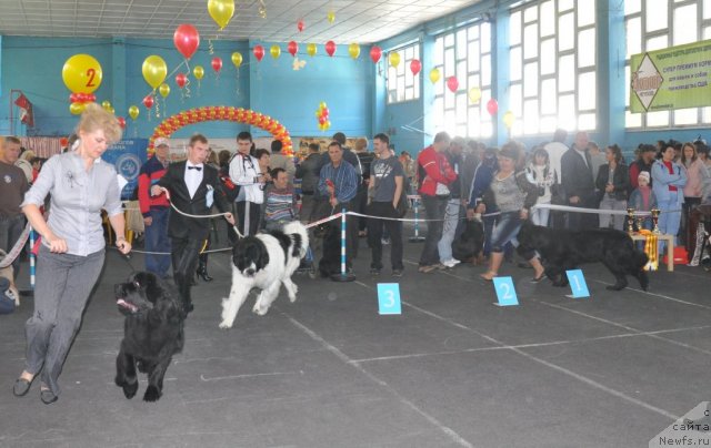 Фотография № 51835