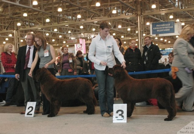 Фотография № 51844