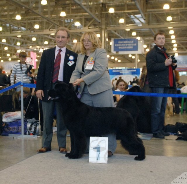 Фотография № 51846